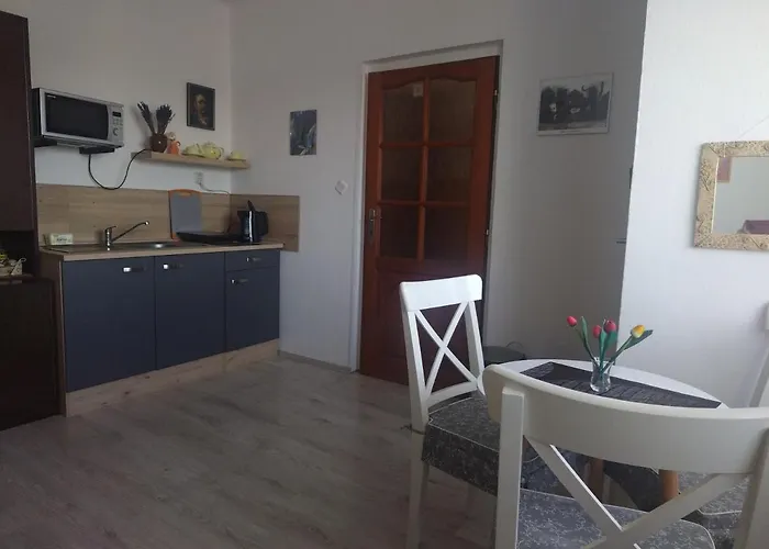 Soukromé Alloggio in famiglia Havlíčkŭv Brod